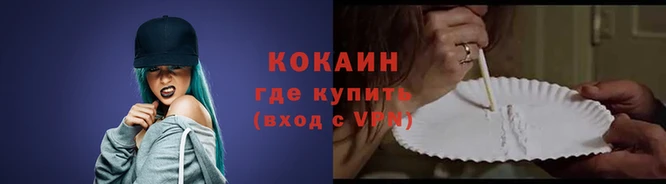 кокс Арсеньев