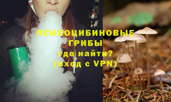 кокс Арсеньев